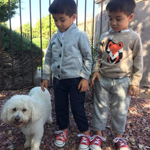 Baby Terry Jogger Pants Grey