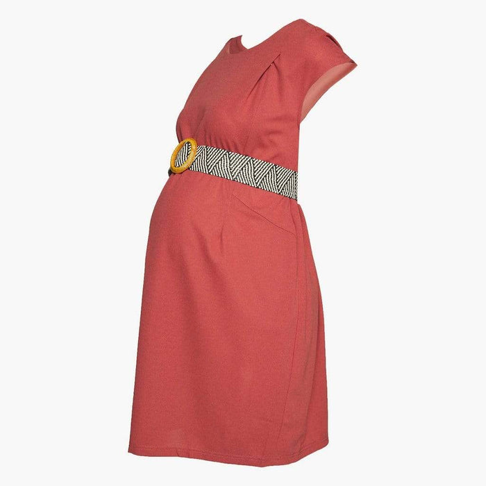Dellen Short Sleeve Nursing Dress Terracotta
