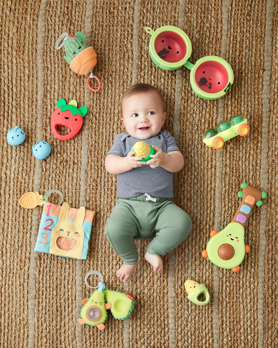 Skip Hop Farmstand Rattle Melon Drum