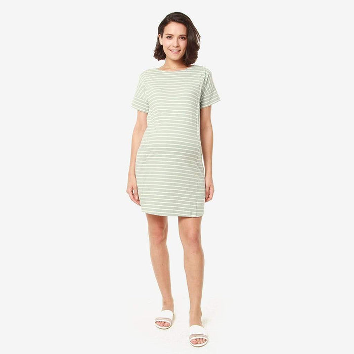 Batwing Sleeves Cambrie Nursing Dress Mint Stripes